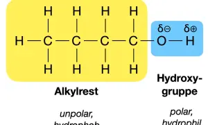 Strukturformel eines Alkohols: Ein unpolarer Alkylrest (gelb) ist mit einer polaren Hydroxygruppe (blau) verbunden. Diese funktionellen Gruppen bestimmen die Eigenschaften.