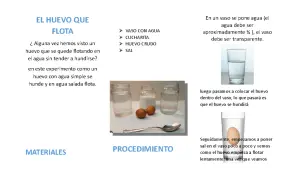 Un huevo flota en agua salada en un experimento.