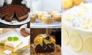 Kuchen rezepte: Schokoladenkuchen, Muffins, Zitronentorte und Marmorkuchen. Ein Fest für jeden Gaumen!