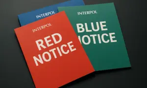 Trzy dokumenty Interpolu: czerwona nota, zielona z napisem "BLUE NOTICE" i niebieska.