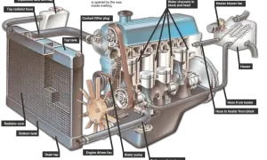 Detaljerad illustration av hur en dieselmotor fungerar, med fokus på kylsystemet: radiator, vattenpumpar och kanaler.