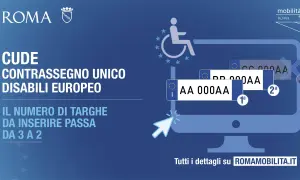 CUDE: il contrassegno invalidi europeo. Il numero di targhe da inserire passa da 3 a 2.