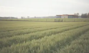 Ile płaci biedronka za wynajem gruntu? Ceny, które zaskakują właścicieli