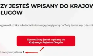 Kto sprawdza KRD i czy potrzebuje Twojej zgody?