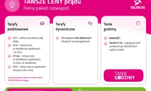 Tauron oferuje taryfy prądu: podstawowe (G11, G12, G12w, G13), dynamiczne i tanie godziny, w tym nowość: taryfa G13s.