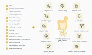 Grafika ilustruje osie komunikacji między jelitami a innymi organami, podkreślając znaczenie prawidłowej mikrobioty jelitowej dla zdrowia. Dysbioza jelitowa może wpływać na płuca, mózg, serce i inne układy.