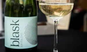Butelka i kieliszek musującego wina. To jest prosecco, idealne na każdą okazję.