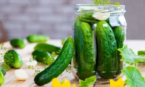 Frische Gurken, Dill und Knoblauch für das Gurken einlegen nach Omas Rezept.