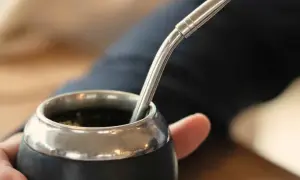 Explora las bebidas icónicas de Argentina: cultura y sabor