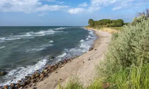 Windige Ostsee bei Berlin. Wellen brechen an einem steinigen Strand, dahinter eine sandige Steilküste mit Bäumen.