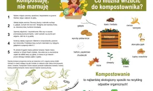Jak zrobić dobry kompost: wybierz miejsce, układaj warstwy suche i mokre, zapewnij wilgoć i napowietrzenie. Kompostuj odpady organiczne!