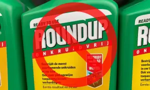 Butelki z zielonym środkiem ochrony roślin Roundup, z przekreślonym czerwonym okręgiem. Roundup wycofany.
