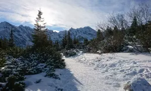 Schneebedeckte Berge im Winter, ein verschneiter Pfad führt durch Nadelbäume und Büsche. Die Sonne scheint durch die Wolken.