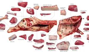 Detaljerad illustration av styckdetaljer från nötkreatur, inklusive flat iron steak (entrecote med ben).