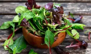 Frischer Salat mit roten und grünen Blättern in einer Holzschale, bereit zum Mangold zubereiten.