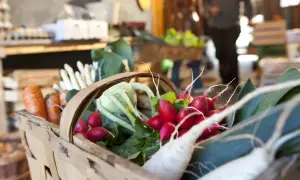Korb mit frischem Gemüse, darunter Radieschen und Karotten, bereit für die Bamberger Feste.