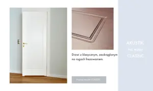 Izolacja akustyczna drzwi: Pełne czy przeszklone? Obalamy mity!