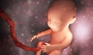 Jak wygląda pępowina? Zaskakujące fakty o jej budowie i funkcji