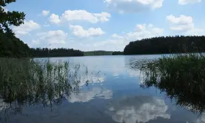 Spokojne jezioro Jegocin otoczone lasem, z odbijającymi się w wodzie chmurami i trzcinami na brzegu.