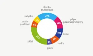 Ile przytyć w ciąży? Poznaj normy BMI dla zdrowia mamy i dziecka