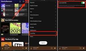 Ekran telefonu z aplikacją Spotify, pokazujący ustawienia i opcję "Pliki lokalne".