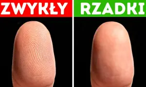 Czy woda zmywa odciski palców? Oto prawda, która zaskakuje