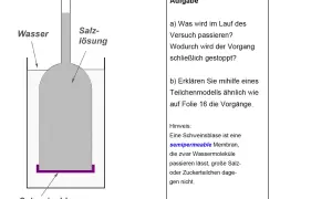 Versuch zur Osmose: Wassermoleküle wandern durch eine semipermeable Schweinsblase in die Salzlösung, bis der Druck ausgeglichen ist.