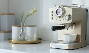 Kaffee-Ecke-Ideen: Eine elegante Espressomaschine mit Tasse und einer kleinen Vase mit Blumen.