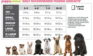 Chart showing how much food should I feed my dog based on size and age. Includes photos of puppies.