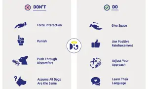 Learn dog language by giving space, using positive reinforcement, and adjusting your approach. Avoid forcing interactions or punishing.