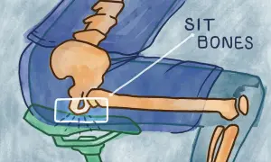 Illustrazione anatomica che evidenzia le ossa ischiatiche, punti di contatto sul sellino di una bicicletta.
