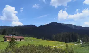 Winklmoosalm wandern: Holzhütte auf grüner Alm mit gelben Blumen, dunklem Bergwald und blauem Himmel mit Wolken.