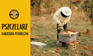 Jaką farbę do uli wybrać, aby chronić pszczoły i hives?