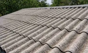 Szary eternit na dachu, pokryty mchem i porostami, w tle zielone drzewa.