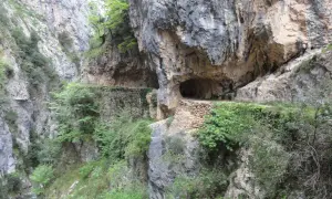 Un camino tallado en la roca, con vegetación exuberante, serpentea por un desfiladero. Una aventura en coche por los Picos de Europa.