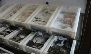 Gdzie kupić świeżą rybę w Kołobrzegu? Sprawdź najlepsze miejsca