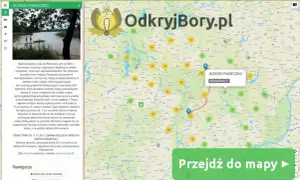 Bory Tucholskie - gdzie leżą na mapie i co warto zobaczyć