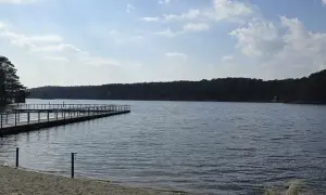 Drewniane molo na piaszczystym brzegu jeziora soczewka, otoczonego gęstym lasem.
