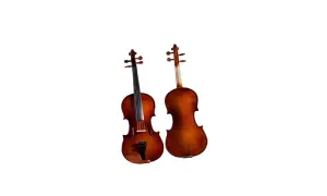 Cena skrzypiec: Ile kosztuje instrument dla początkujących i profesjonalistów?