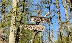 Drewniane tabliczki wskazują trasę do Wilczego Szanacu. Wokół bujna zieleń i błękitne niebo.