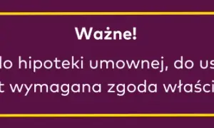 Hipoteka przymusowa: Jak skutecznie wpisać i odzyskać dług?