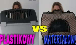 Bezpieczny transporter dla królika - jak wybrać idealny model?