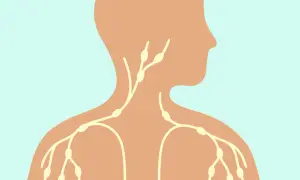 Schéma du système lymphatique montrant des ganglions dans le cou, qui peuvent être un ganglion cou douloureux au toucher.