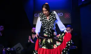 Bailaora de flamenco con falda voluminosa, mostrando la pasión de la bulería. Músicos la acompañan.