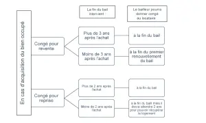 Schéma expliquant les conditions de préavis logement privé pour congé pour vente ou reprise après acquisition d'un bien occupé.