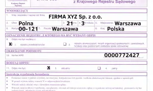 Szybki i prosty sposób na aktualny odpis z KRS bez zbędnego czekania