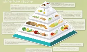 Pyramide alimentaire végétalienne : huiles, noix et graines sont une source de lipide essentielle.
