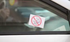Naklejka "Parkuj z głową, stop świętym krowom" na szybie. Chcesz wiedzieć, jak usunąć naklejkę rejestracyjną z szyby?