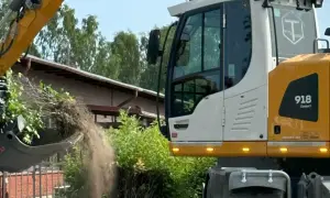 Grävmaskin tömmer jord och grenar. Marken är lerig, perfekt för att bygga på silt.