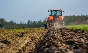 Ciągnik bez rejestracji: Ryzyko, kary, legalizacja czy warto kupić?